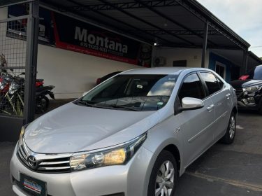 WhatsApp Image 2026-01-15 at 11.13.00