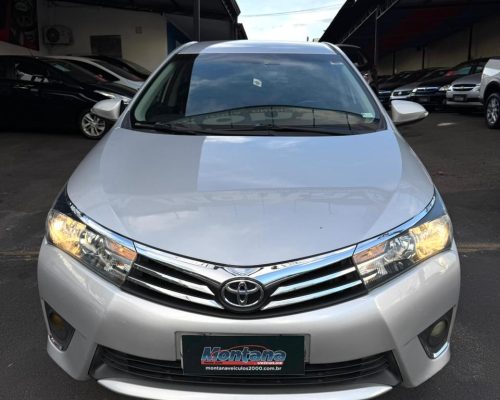 WhatsApp Image 2026-01-15 at 11.13.01 (1)