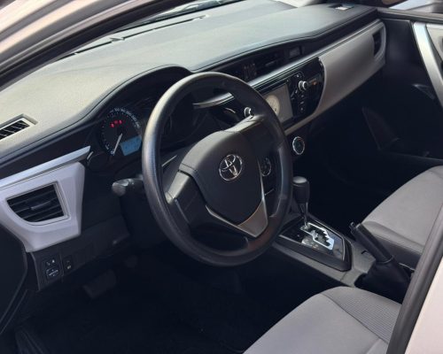 WhatsApp Image 2026-01-15 at 11.13.01 (2)