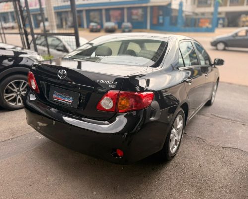 WhatsApp Image 2026-01-17 at 11.44.50